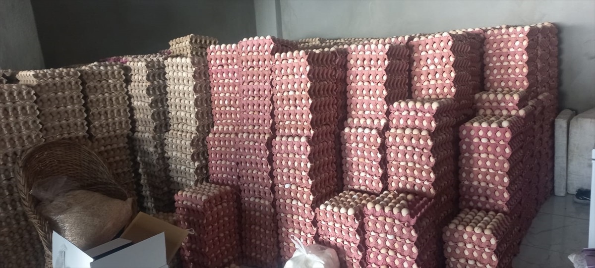 Gaziantep\'te bir depoda ele geçirilen etiketsiz bin 800 koli yumurta imha edildi