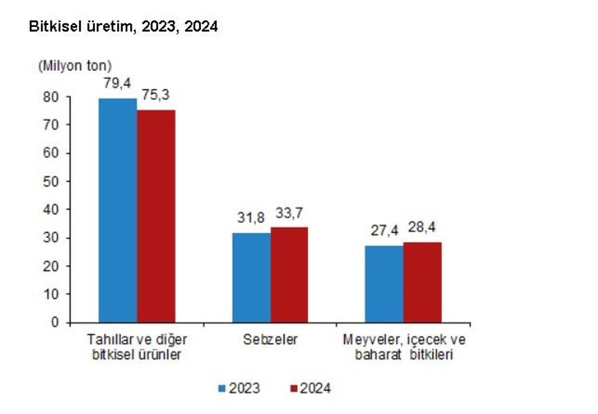 2024 Bitkisel Üretim Tahminleri