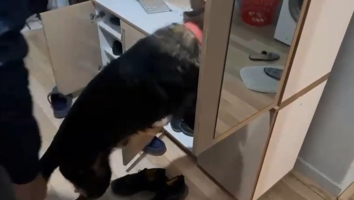 Kırıkkale\'de Narkotik Operasyonu: Uyuşturucu ve Silah Ele Geçirildi