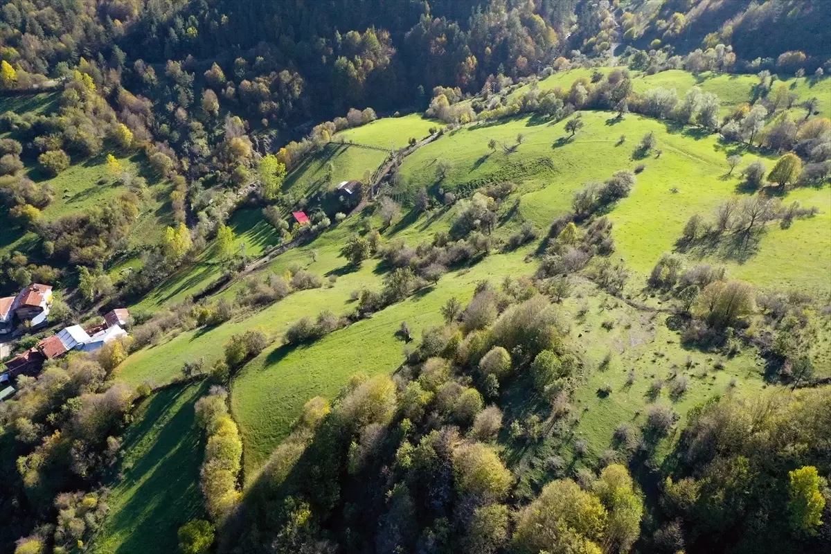 Ilgaz Dağı\'nda İki Mevsim Bir Arada