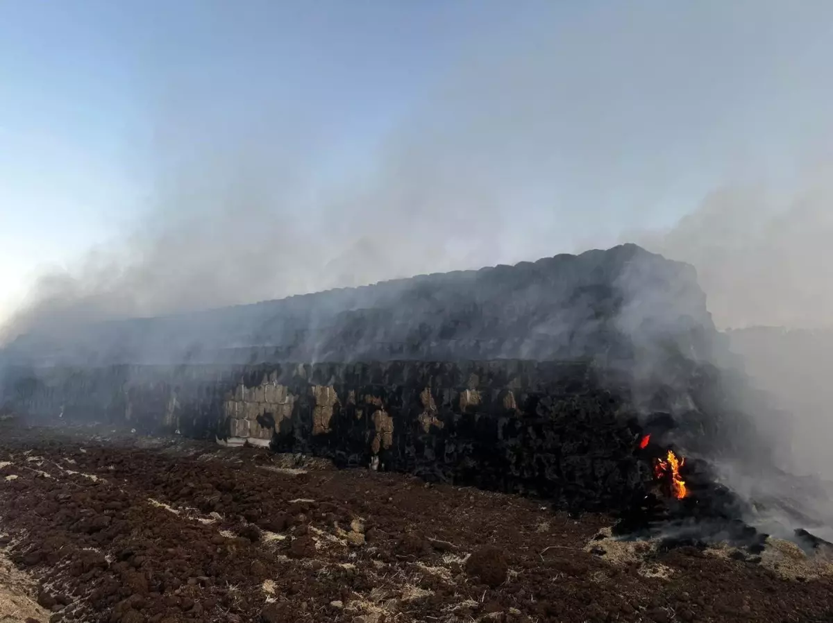 Cizre\'de Saman Balyaları Yandı