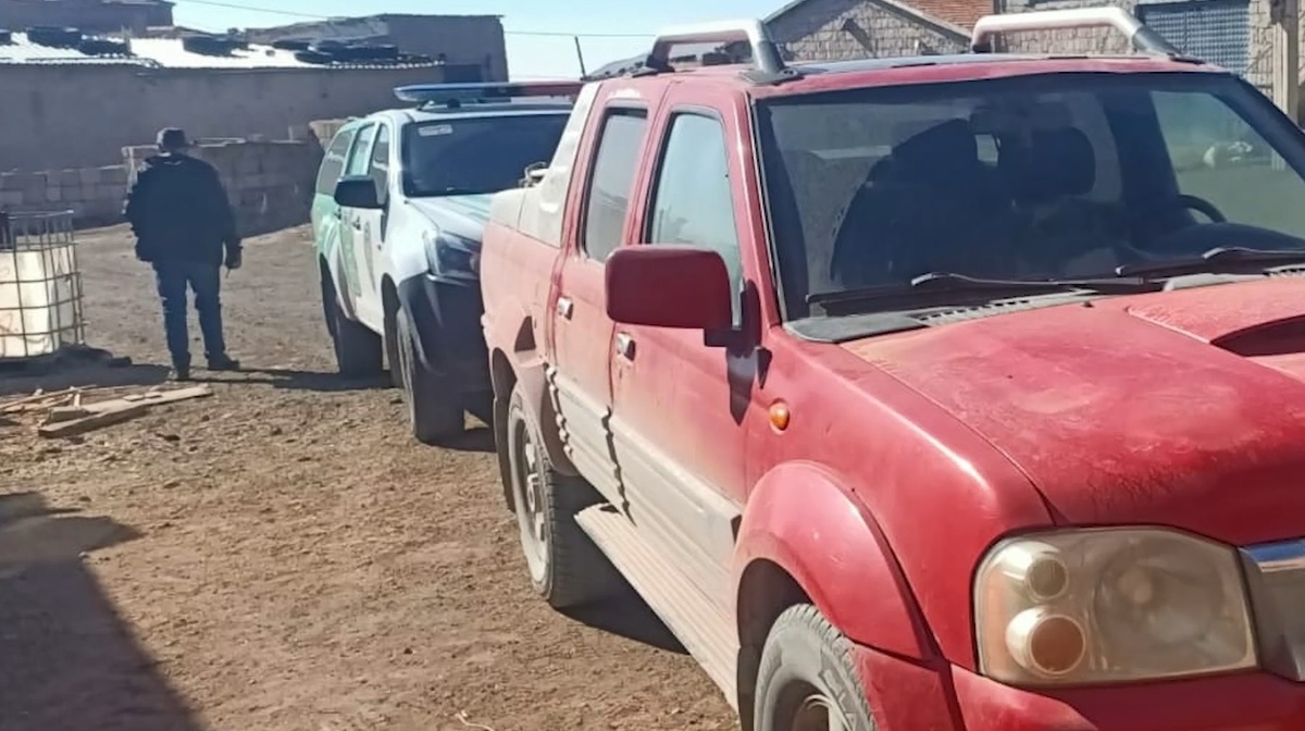 Öldürülen Domuz Sürüklendi, Sürücü Yakalandı