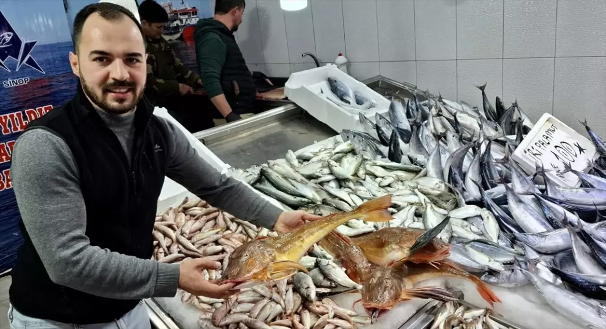 Sinop\'ta Kırlangıç Balığı Fiyatı 300 Lira