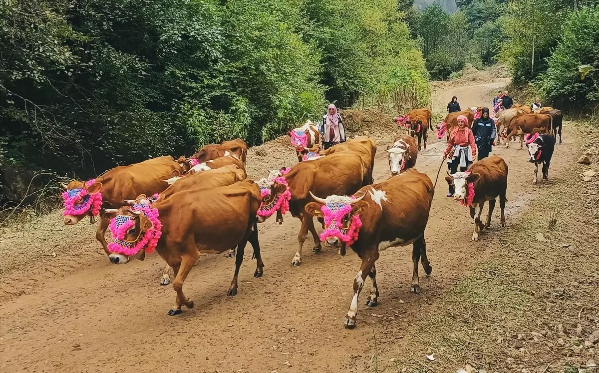 Yayla Göçü Geleneksel Renklerle Devam Ediyor