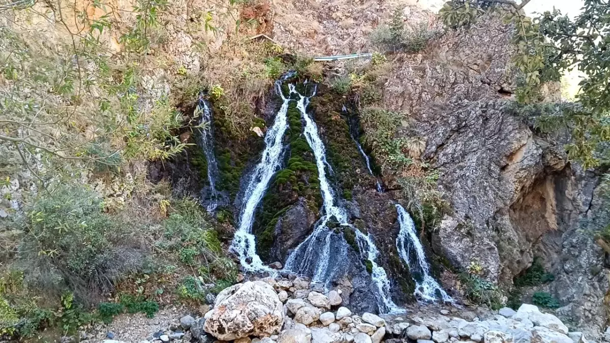 9 Yaşındaki Musa\'nın Eşekli Eğlencesi