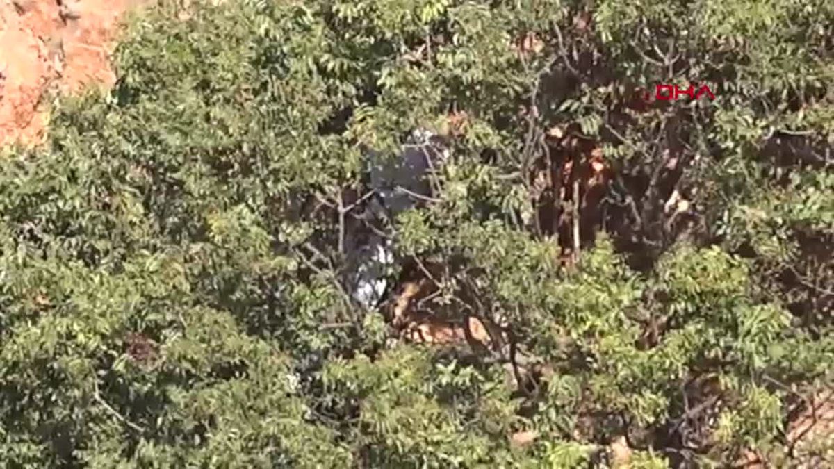 Mağaradaki İki Kişiyi Kovalarken Faleze Düştü