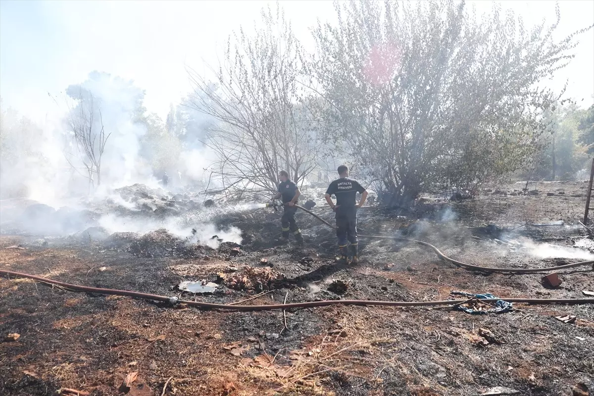 9 Yaşındaki Kız Çocuk Yangın Ortasında Tavuklarını Kurtardı