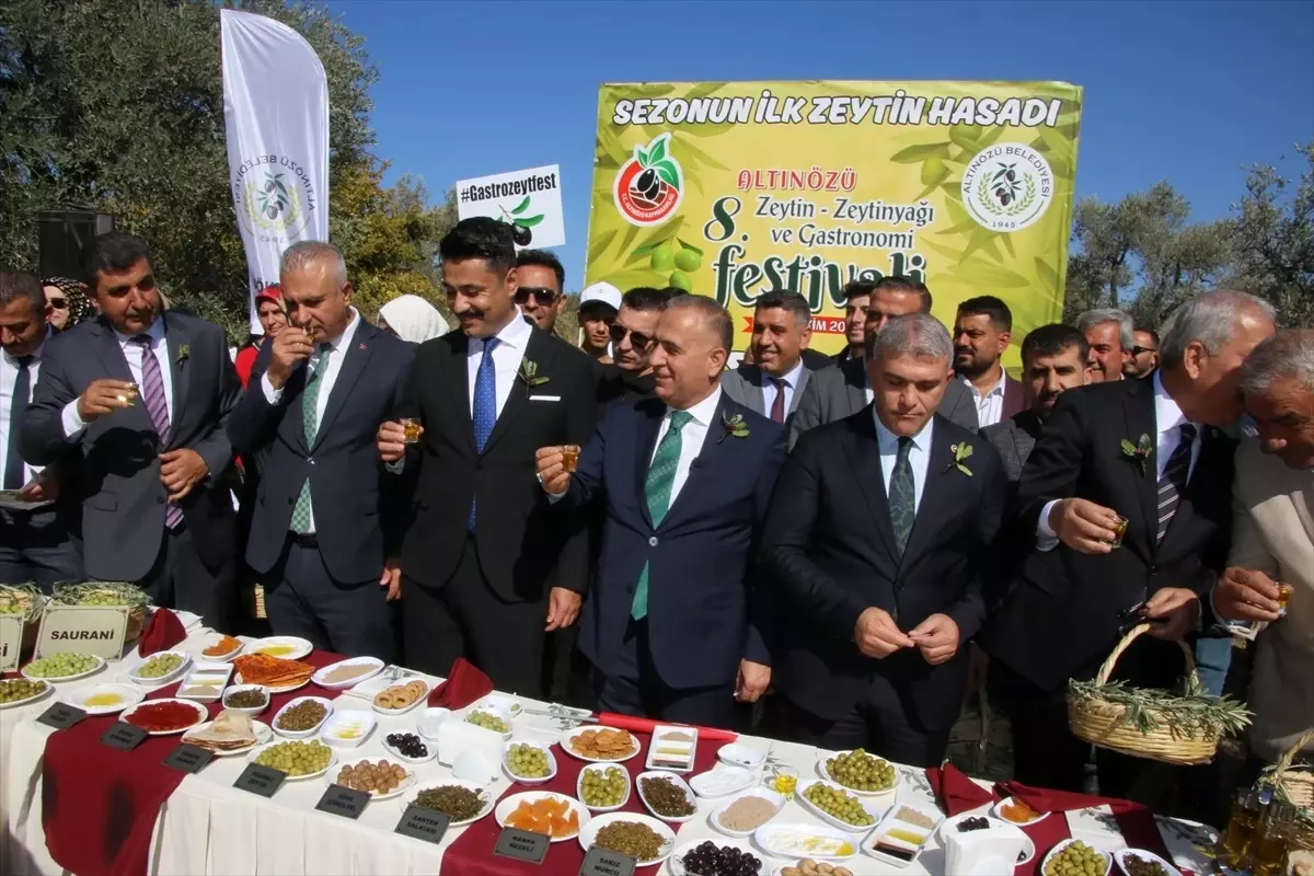 Altınözü\'nde Zeytin Festivali Coşkusu