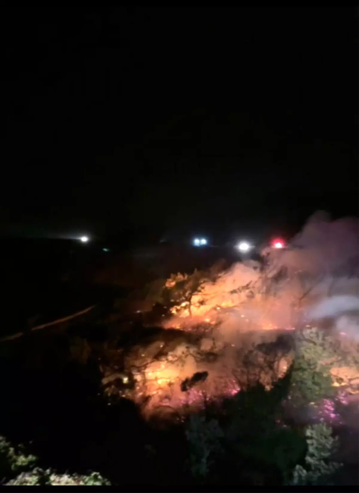 Marmaris\'te Orman Yangını Kontrol Altına Alındı