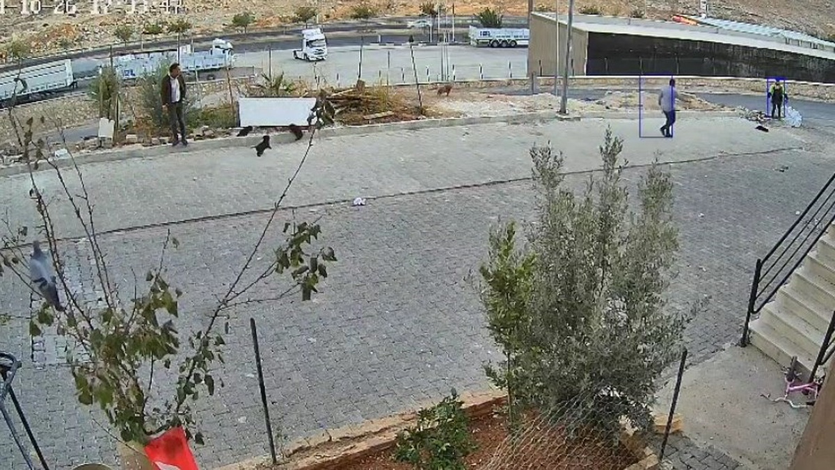 Şanlıurfa\'da Yavru Köpeğe Saldırı