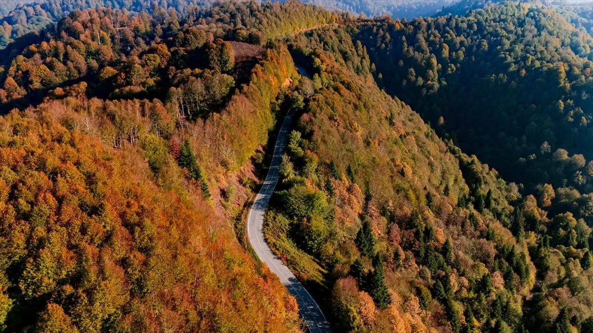 Çam Dağı\'nda Sonbahar Renkleri