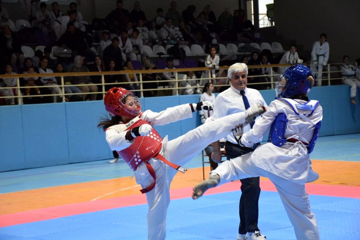 Afyonkarahisar\'da Taekwondo Cumhuriyet Kupası Coşkuyla Gerçekleşti