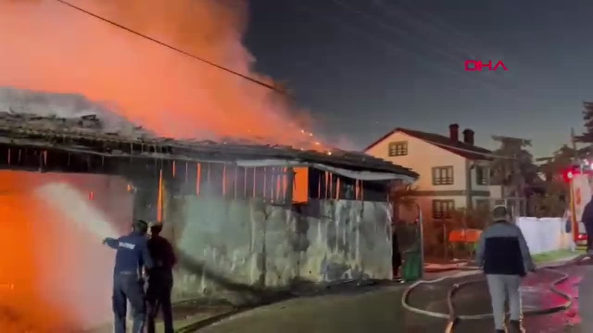 Bolu\'da Yangın: Ev ve Depo Yanarak Kullanılamaz Hale Geldi