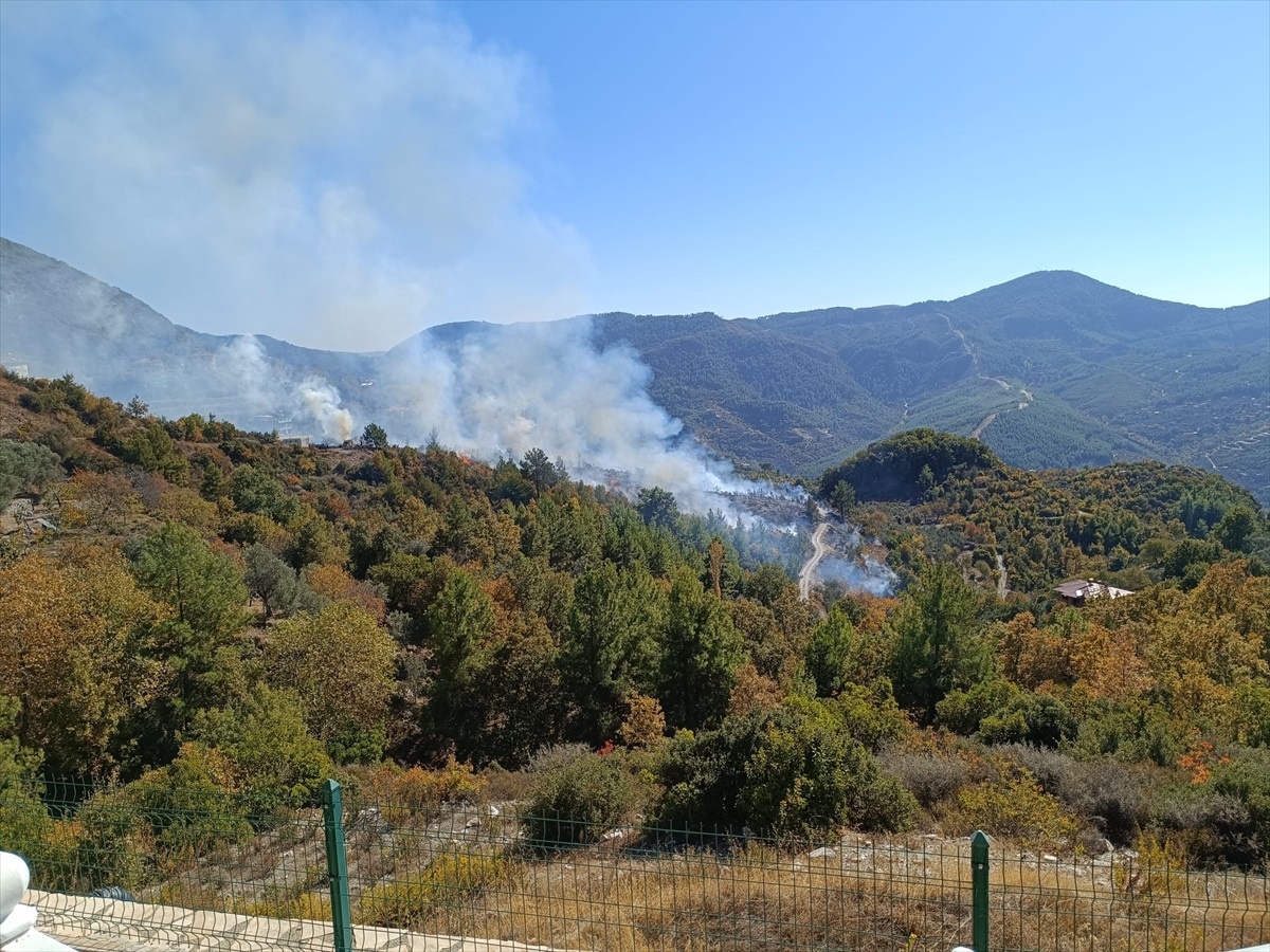 Alanya\'da Zirai Yangın Kontrol Altına Alındı