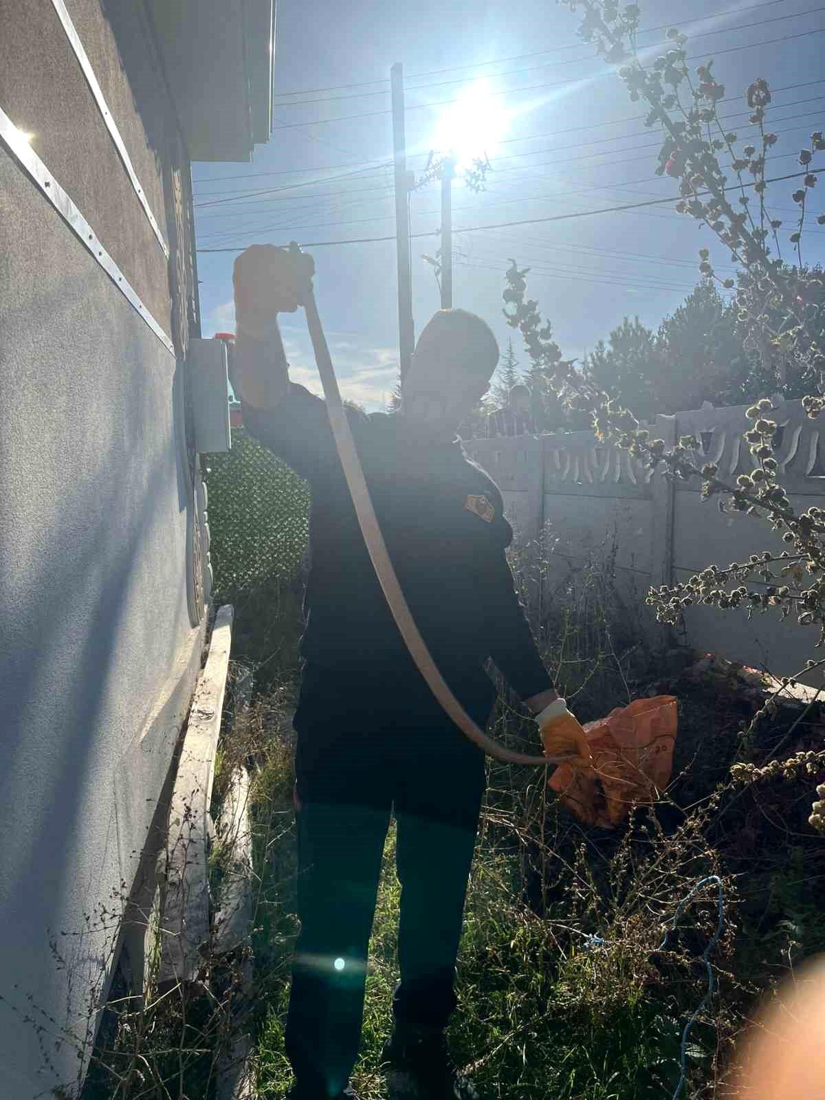 Çorum\'un Alaca İlçesinde Yılan Yakalandı
