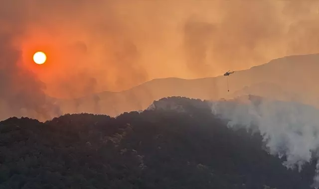 24 Ekim'de başlayan orman yangınıyla mücadele sürüyor