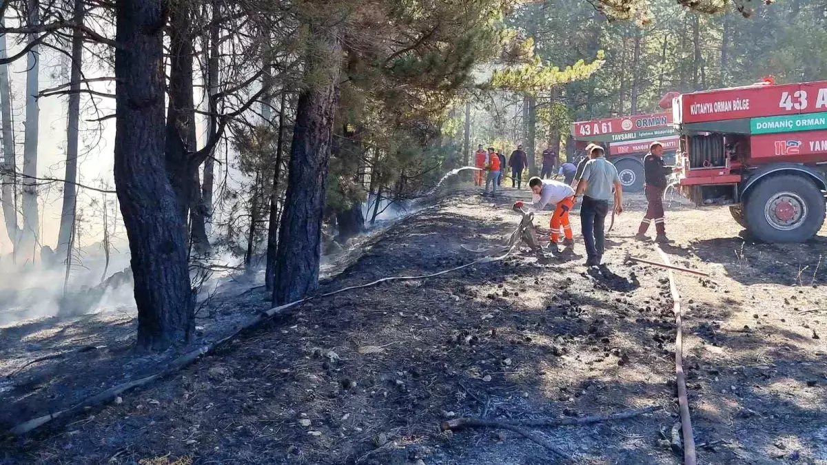 Kütahya\'da Anız Yangını Ormana Sıçradı, Hızla Kontrol Altına Alındı