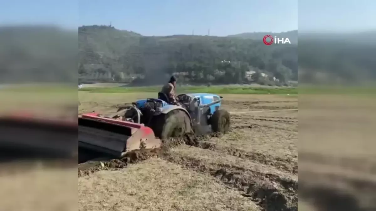 Piknikte Bataklık Fiascosu