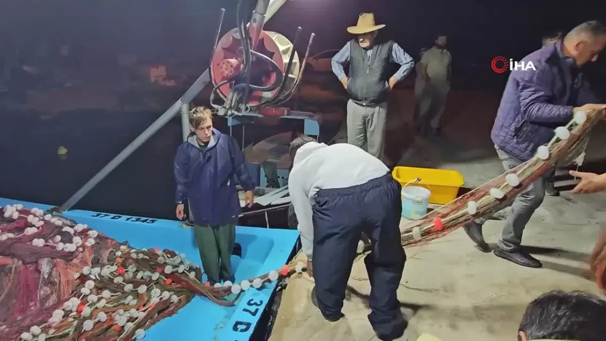 Kastamonu\'da Palamut Bolluğu: