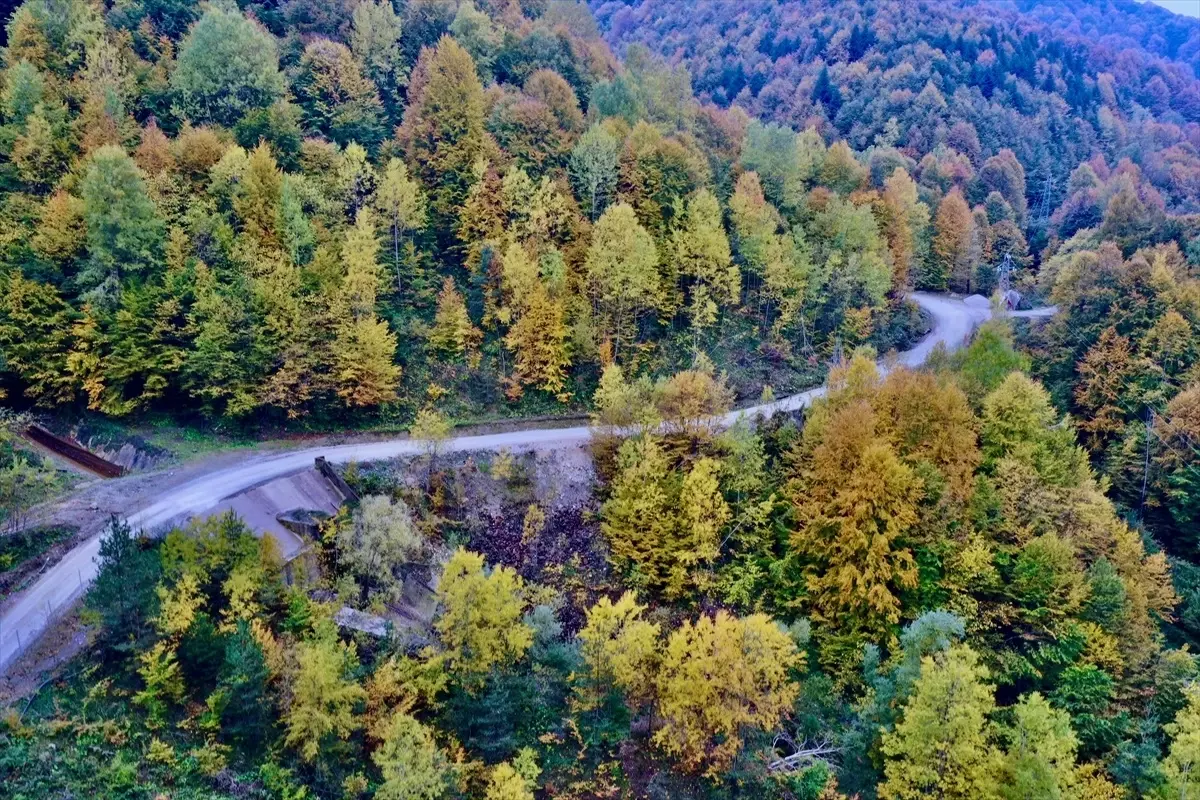 Sonbahar Renkleriyle Bolu Dağı