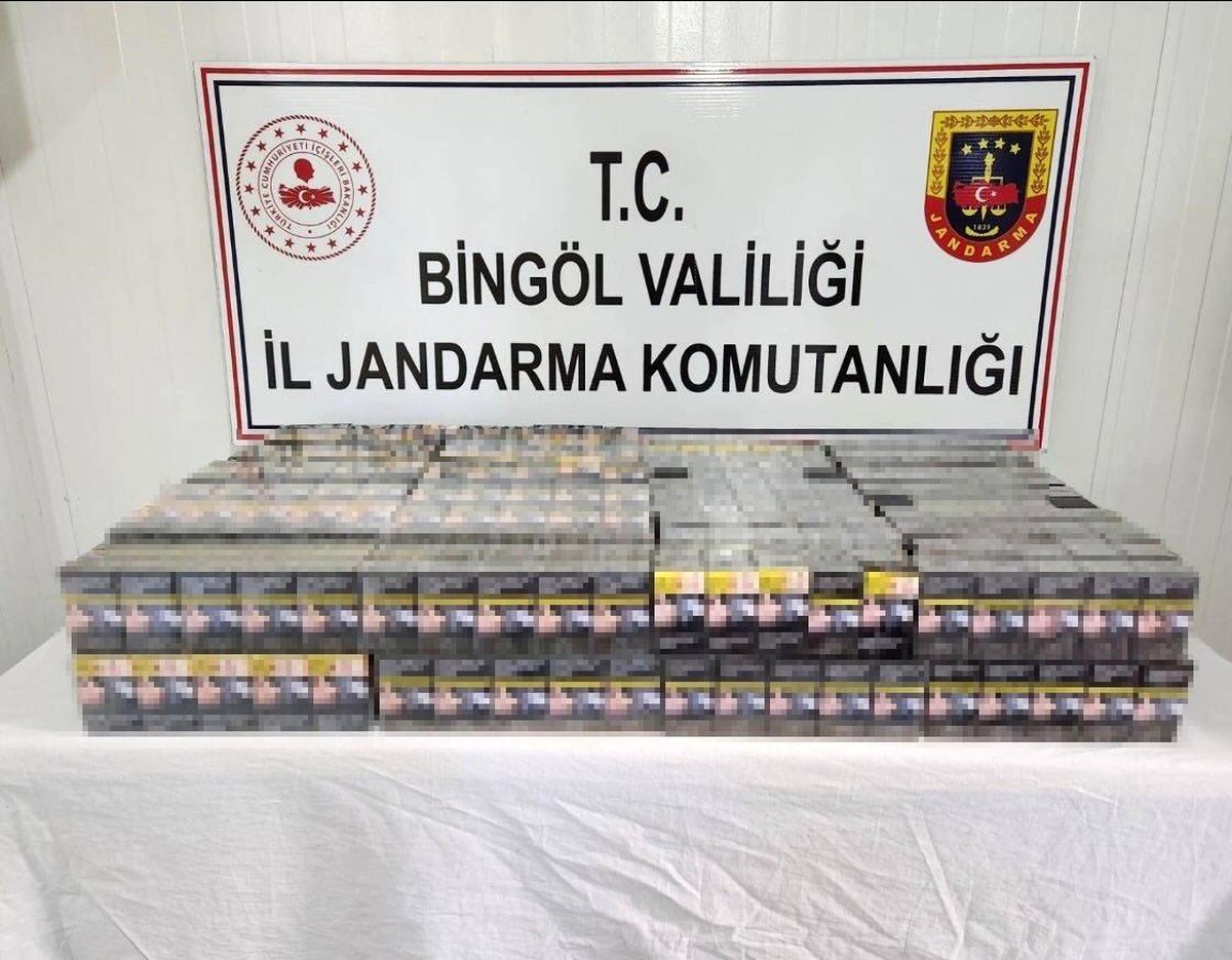 Bingöl\'de Kaçak Kazı ve Sigara Operasyonu