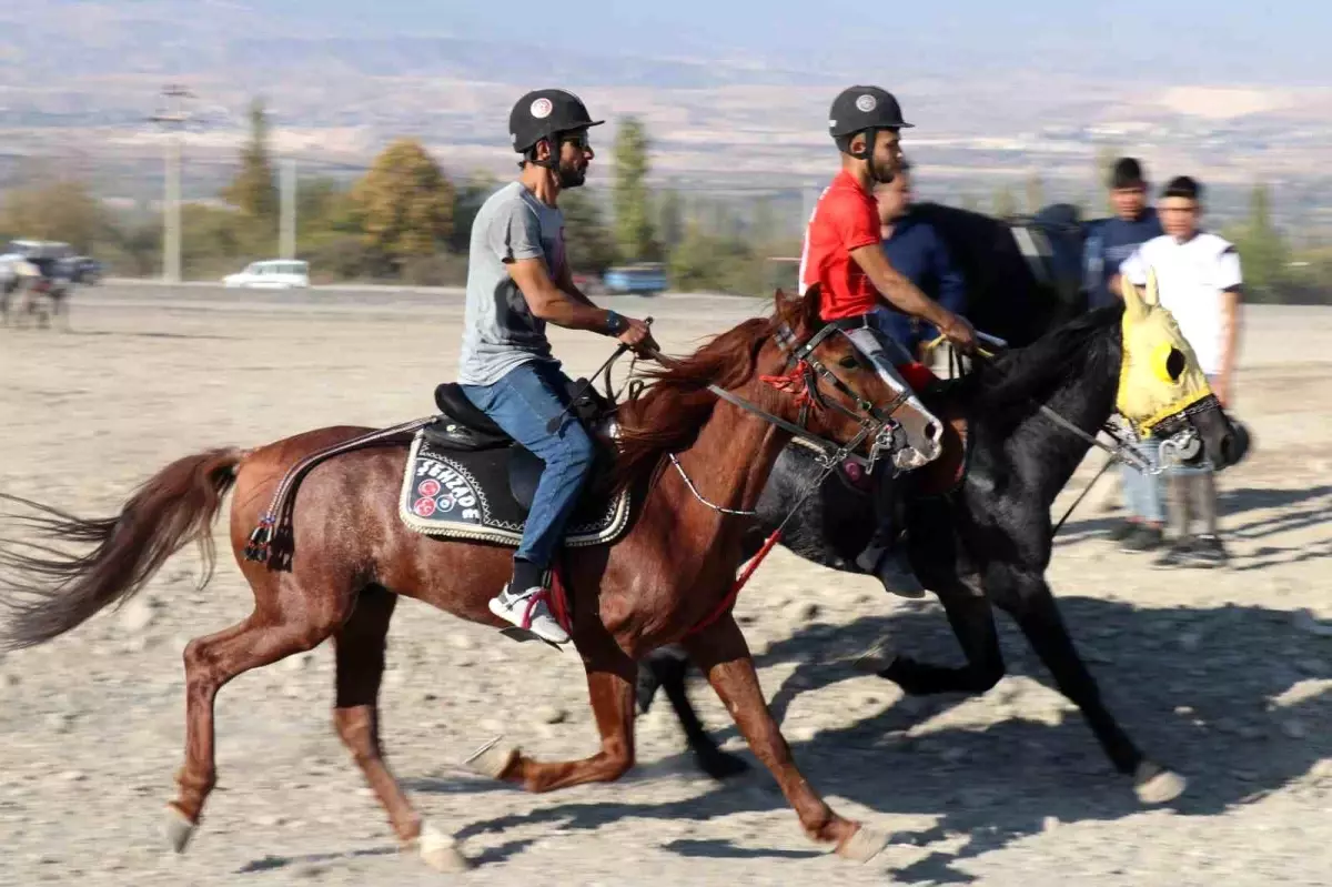 Honaz\'da 29 Ekim Cumhuriyet Bayramı Etkinlikleri Kapsamında Rahvan At Yarışları Düzenlendi