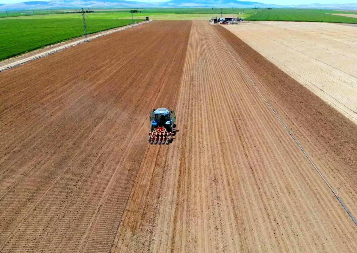 Konya Ovası\'nda Ekim Dönemi Uyarıları