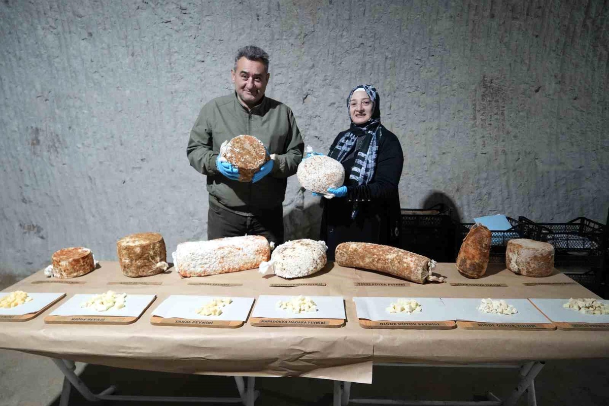 Niğde\'nin Doğal Peynirleri Yurt Dışına Açılıyor