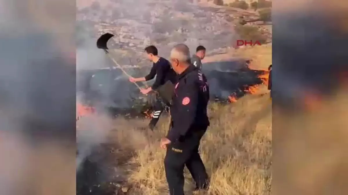 Mardin\'de örtü yangını kontrol altına alındı