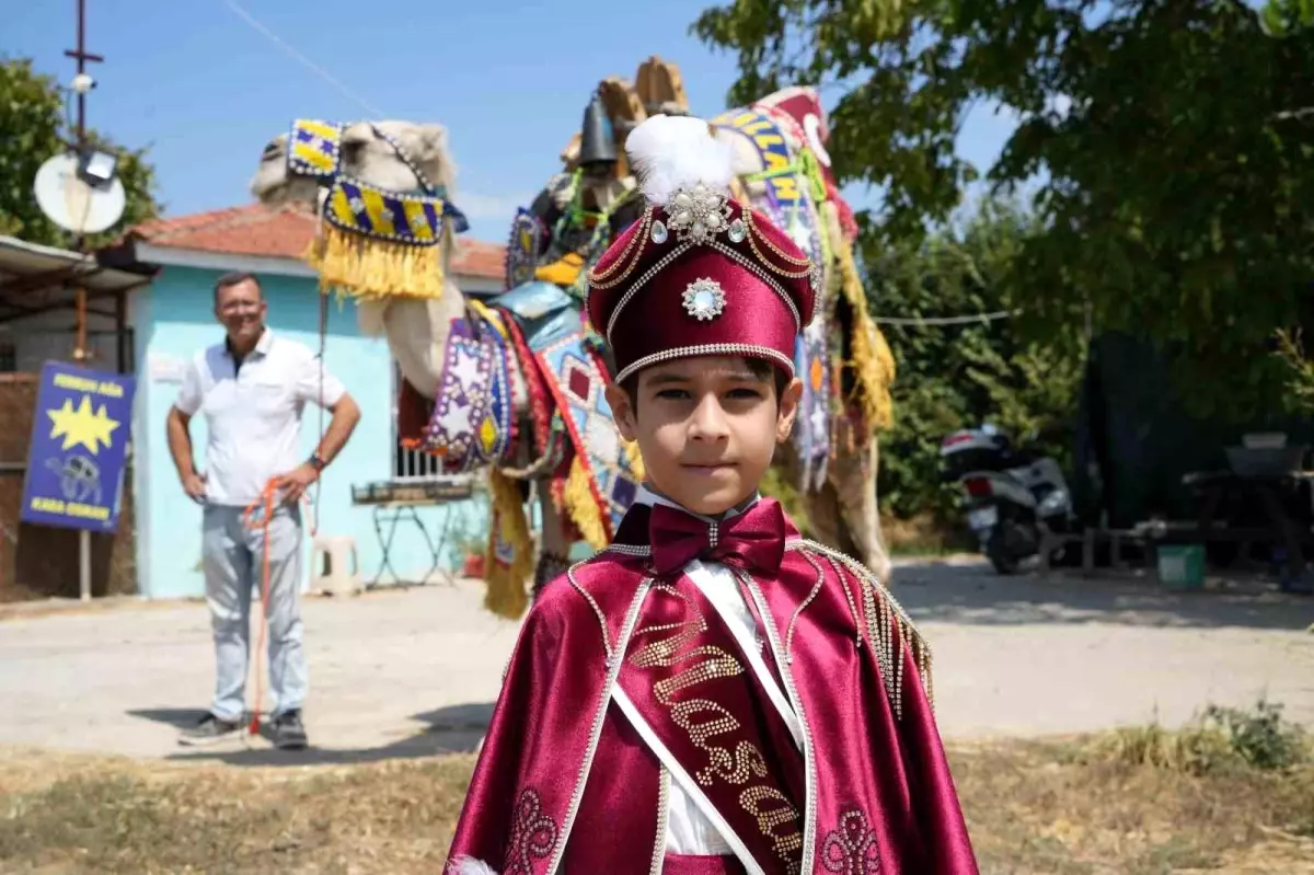 Burhaniye\'de Sünnet Düğününe Deve Konvoyu