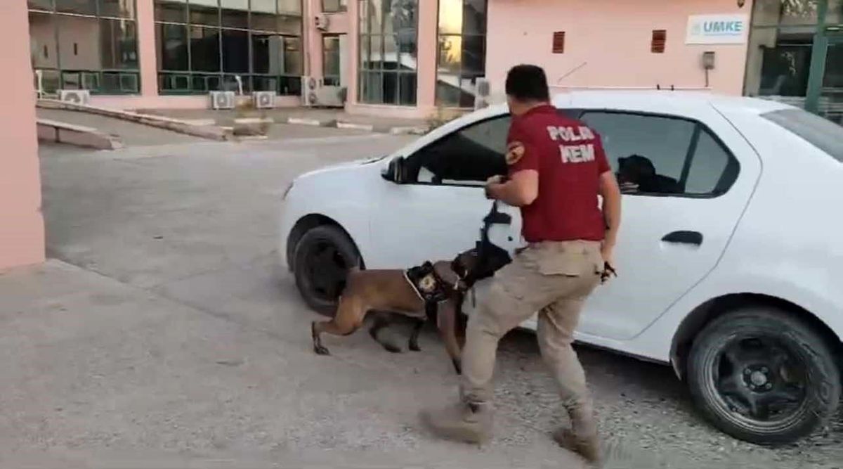 Osmaniye\'de 33 Kilo Skunk Ele Geçirildi