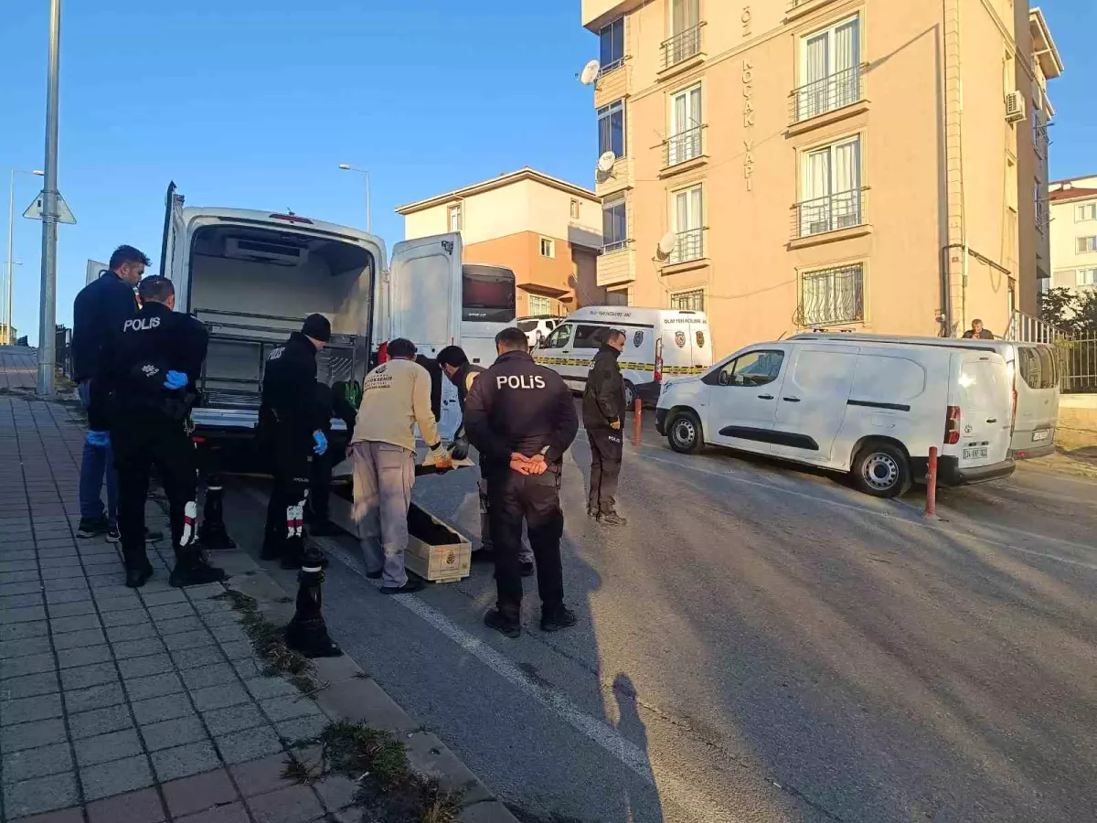 Pendik\'te Kuzen Cinayeti: 18 Yaşındaki Kız Bıçaklandı