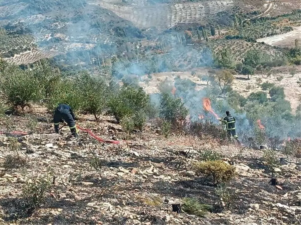 Hatay\'da Zeytinlik Yangını Kontrol Altına Alındı