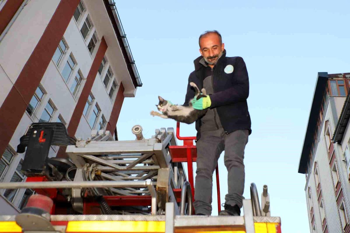Hakkari\'de İtfaiye Ekipleri Yavru Kediyi Kurtardı