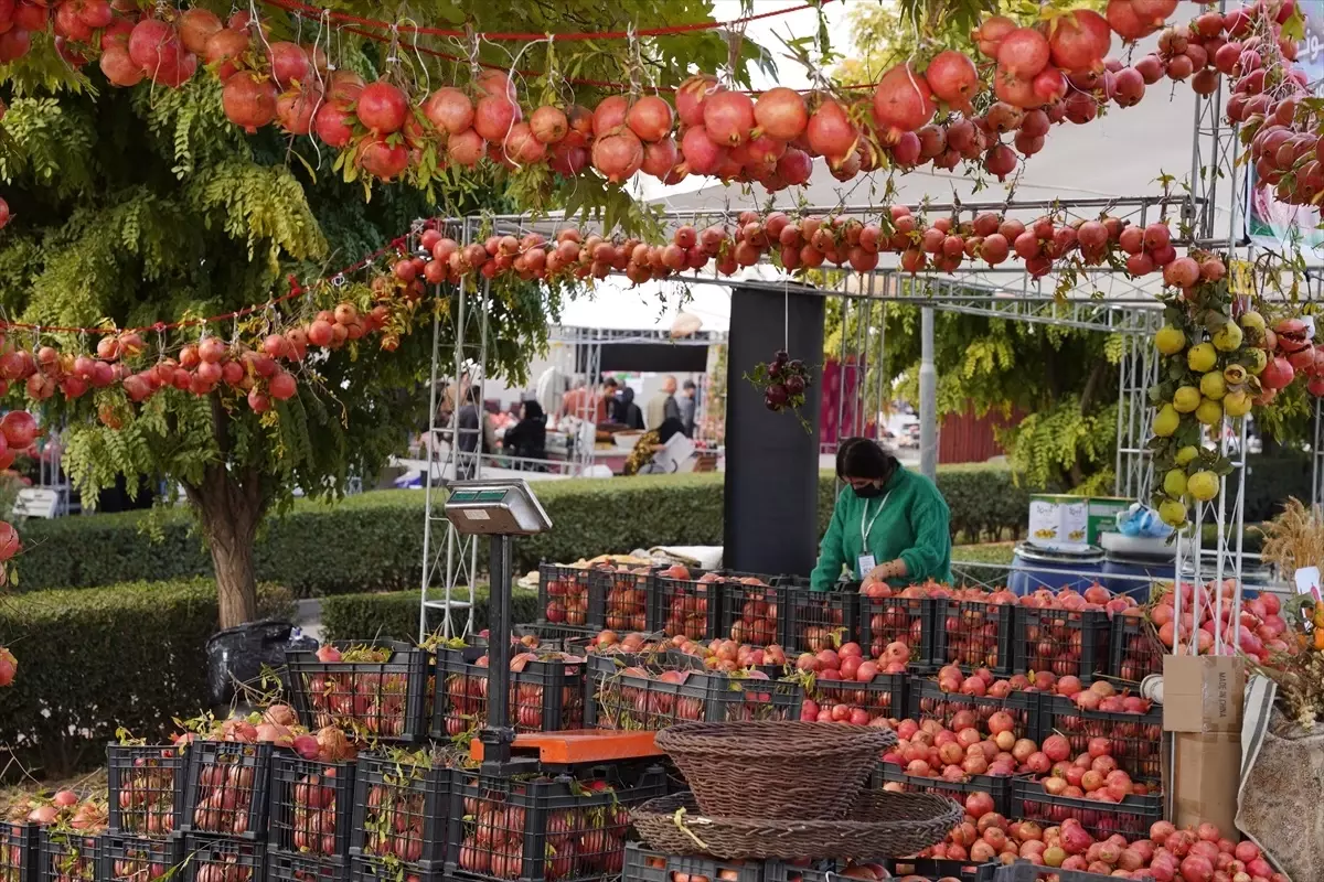 Halepçe\'de Nar Festivali Başladı