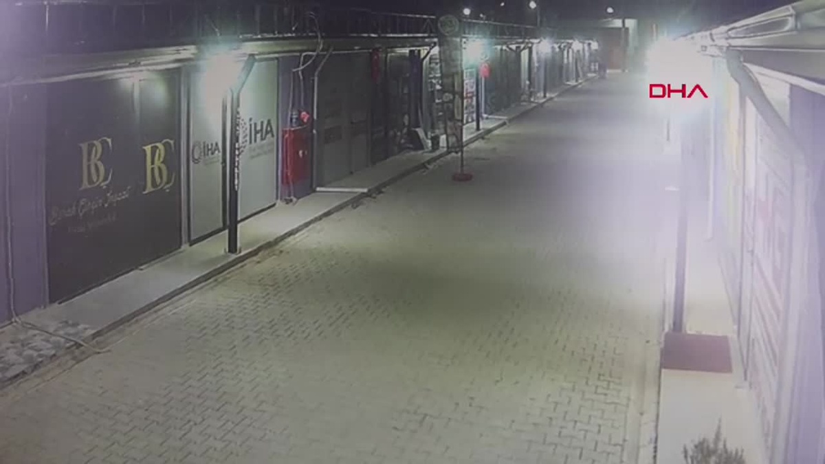 Hatay\'da Kedi Katliamı: Şüpheli Araştırılıyor