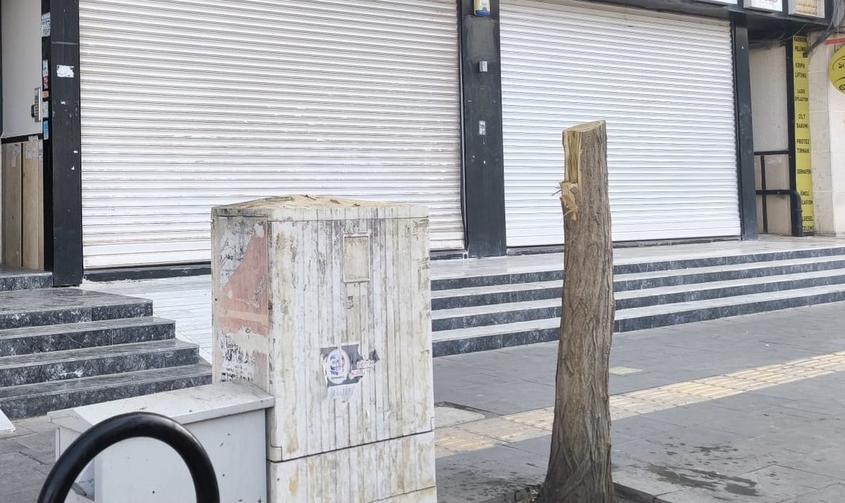 Kızıltepe\'de Ağaç Kesimi
