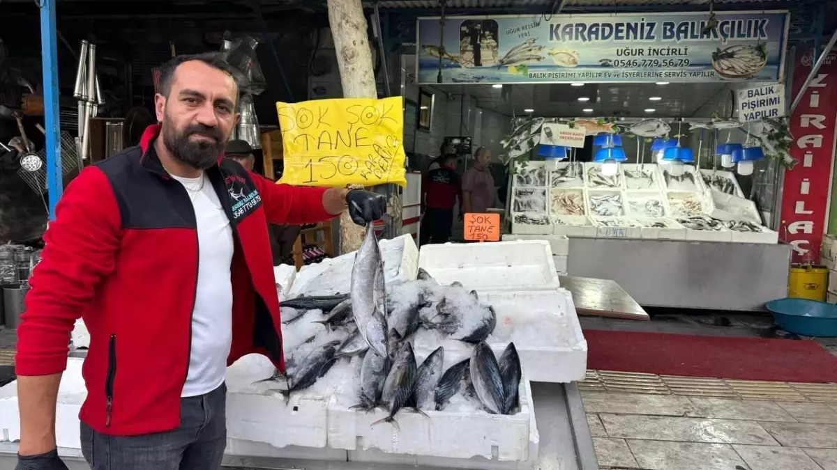 Kilis\'te Balık Satışları Arttı