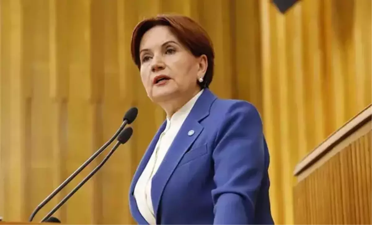 Meral Akşener\'den Kayınbiraderine Suç Duyurusu