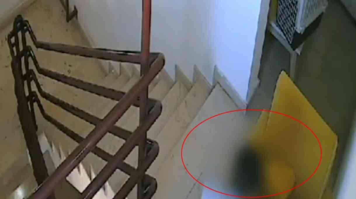 Sapığın böylesi: Apartmandaki kediye tacizde bulundu