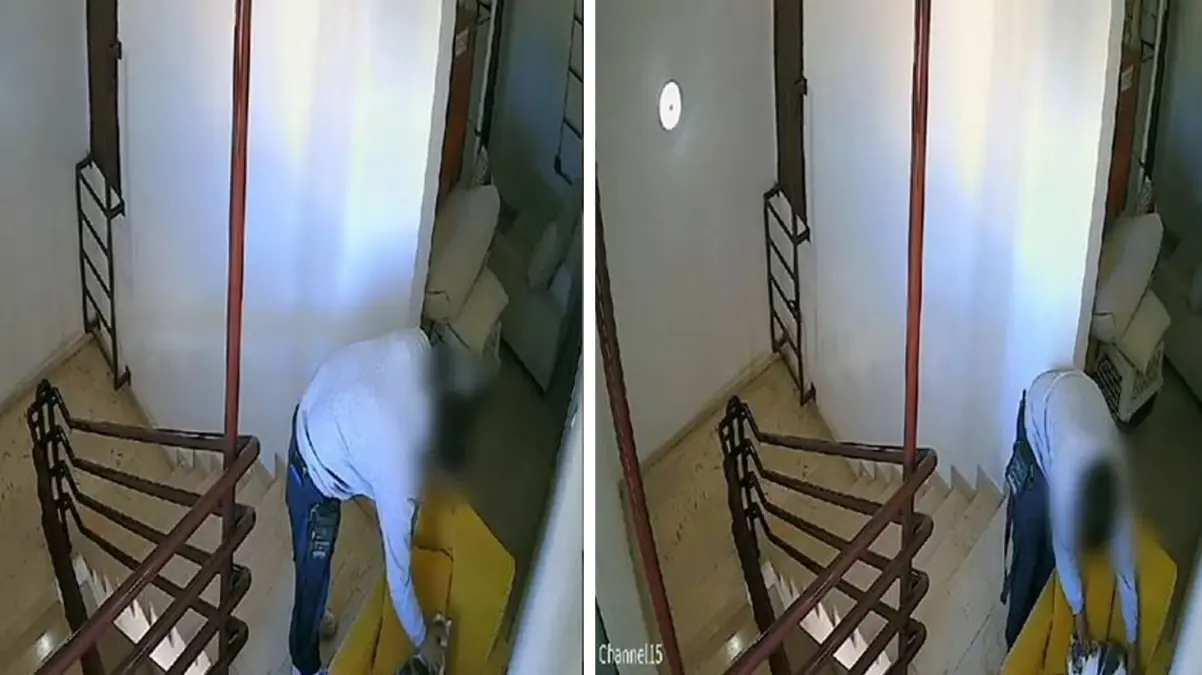 Sapığın böylesi: Apartmandaki kediye tacizde bulundu