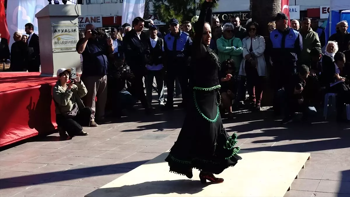 Ayvalık Zeytin Hasat Festivali Başladı