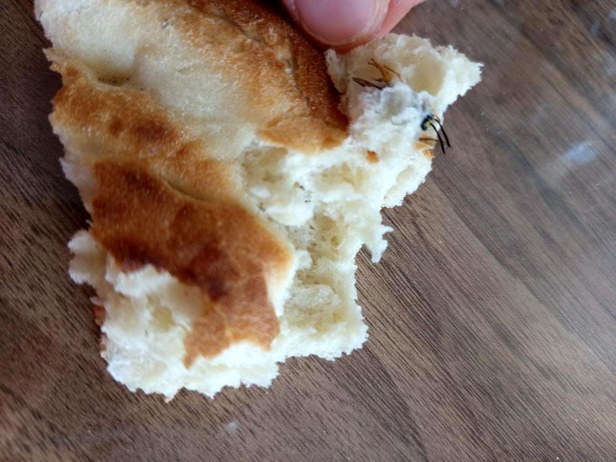 Ekmeğin İçinden Arı Çıktı