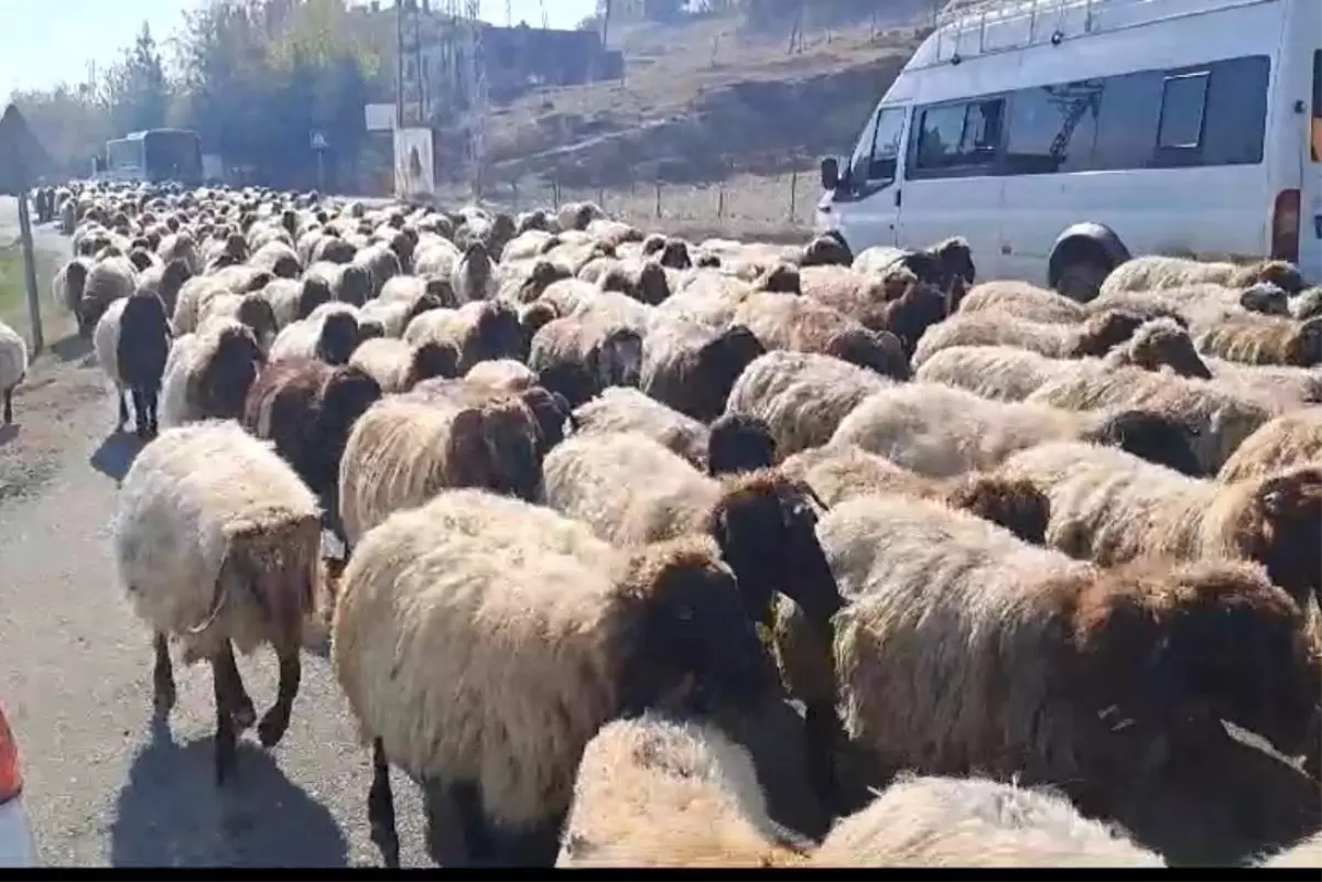 Kulp\'taki Göçerler Kışa Hazırlanıyor