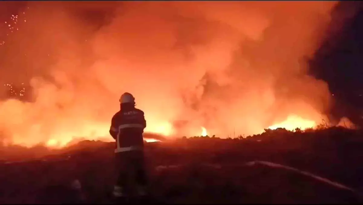 Hatay\'da Tarım Arazisinde Yangın Kontrol Altına Alındı