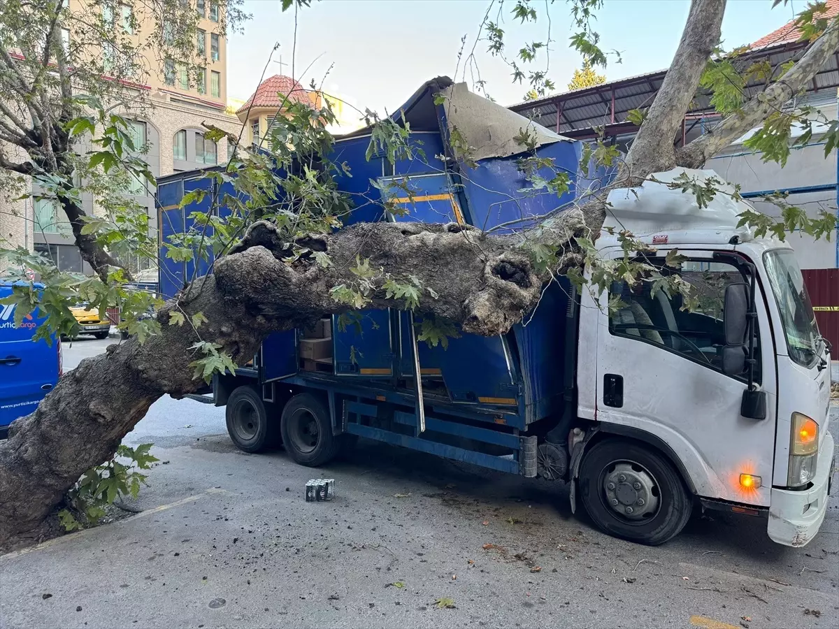 İzmir\'de Kamyonet Ağaca Çarptı