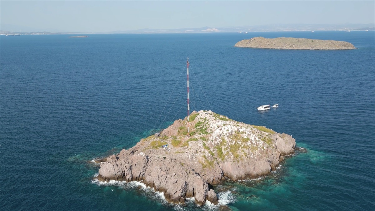 İzmir\'de Rüzgar Enerjisi Potansiyeli Artıyor