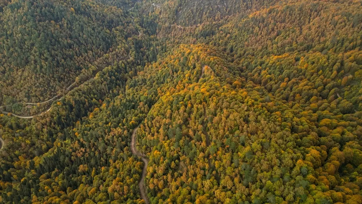 Zonguldak\'ta Sonbahar Güzelliği