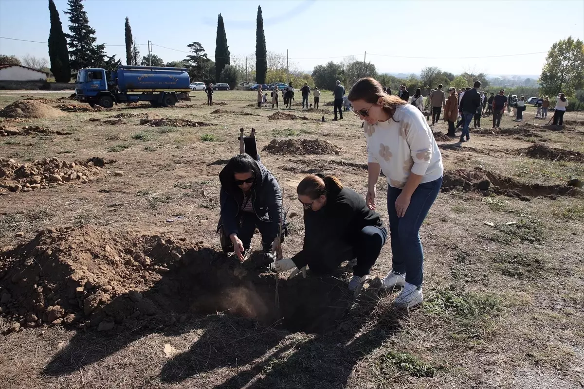 Batı Trakya\'da Fidan Dikimi