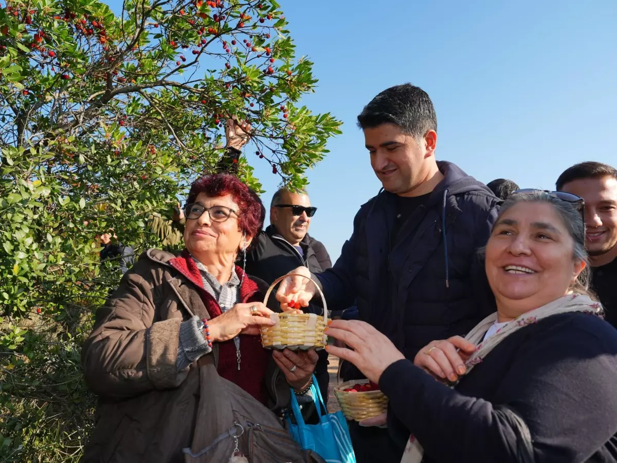 Ataşehir\'de Dağ Çileği Festivali